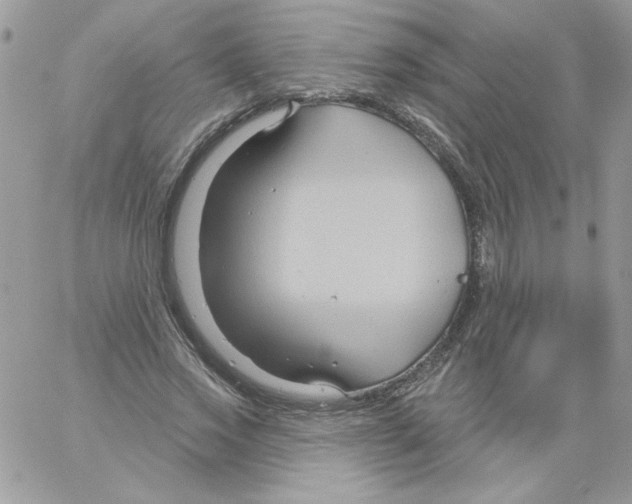 X0000061750733200512302237