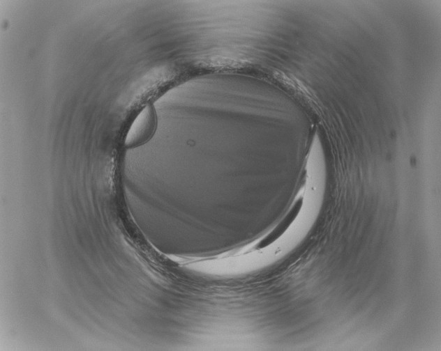 X0000061750735200512302237