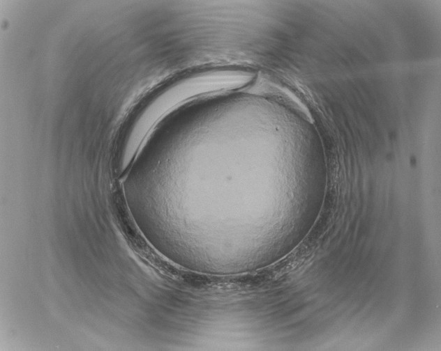 X0000061750736200512302237