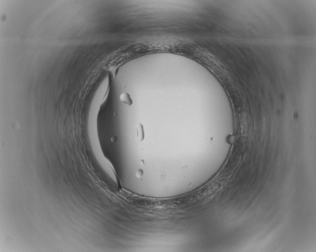 X0000061750737200512302237