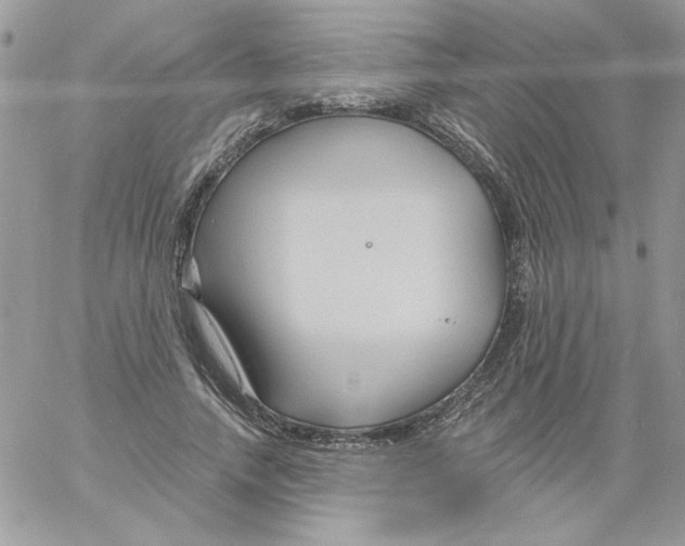 X0000061750738200512302237