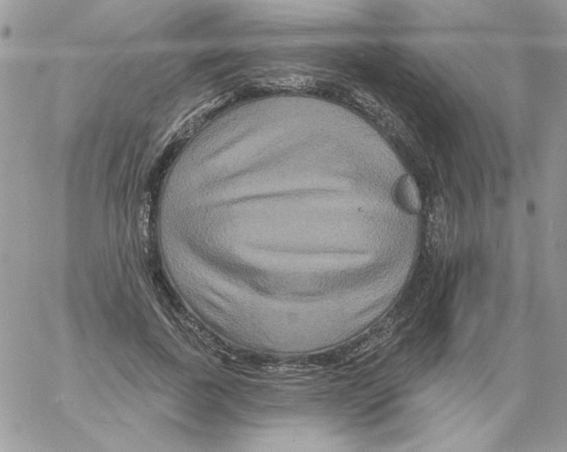 X0000061750739200512302237