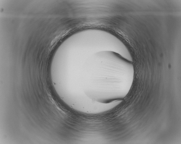 X0000061750740200512302237