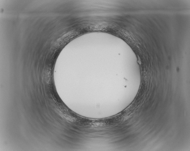 X0000061750741200512302237