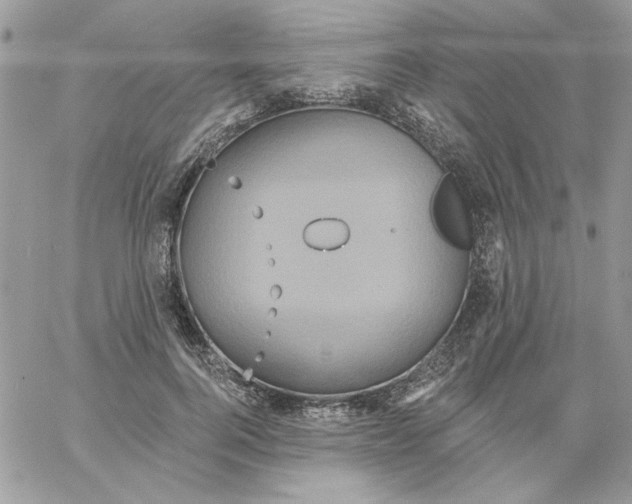 X0000061750744200512302237