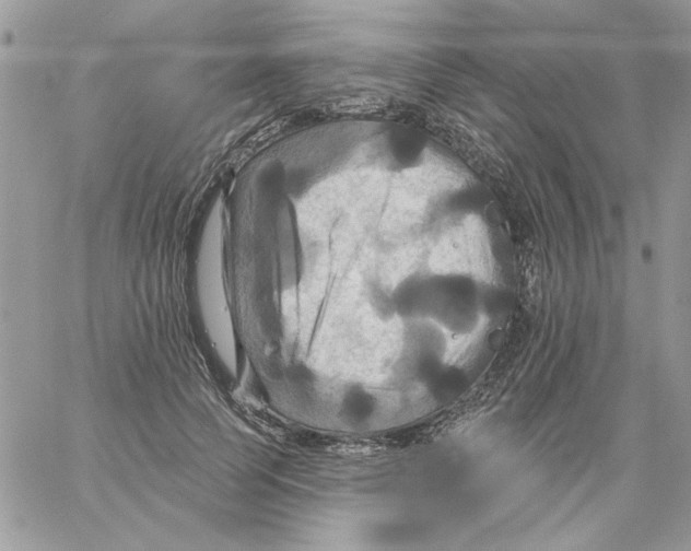 X0000061750745200512302237