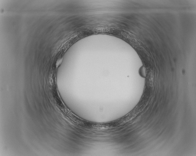 X0000061750746200512302237