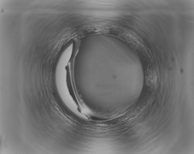 X0000061750748200512302237