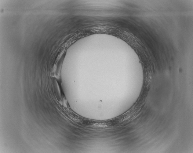 X0000061750749200512302237