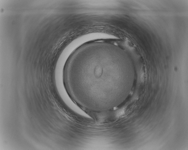 X0000061750750200512302237