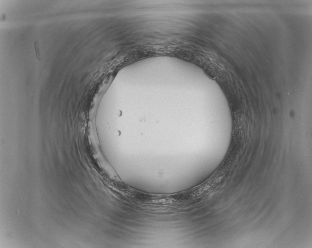 X0000061750752200512302237