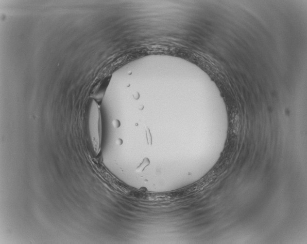 X0000061750753200512302237