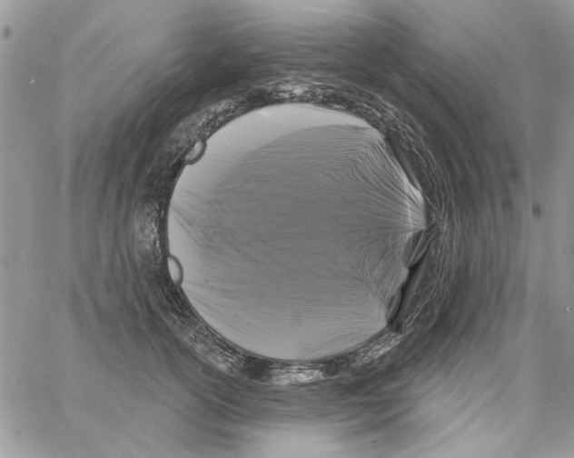 X0000061750754200512302237