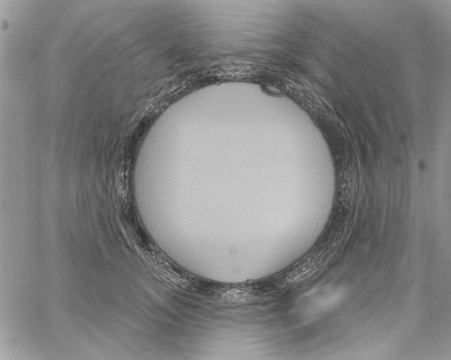 X0000061750755200512302237