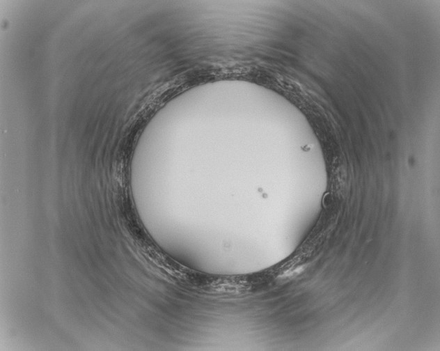 X0000061750756200512302237