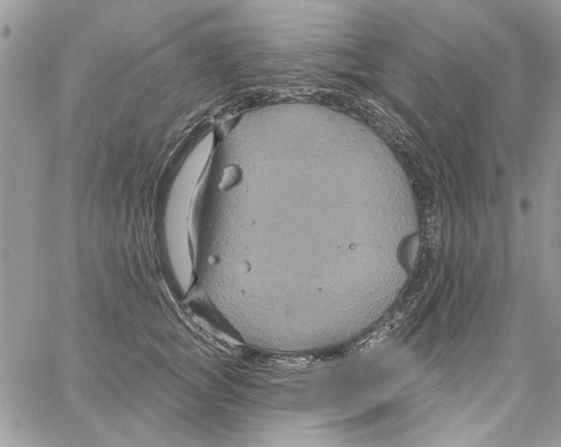 X0000061750757200512302237