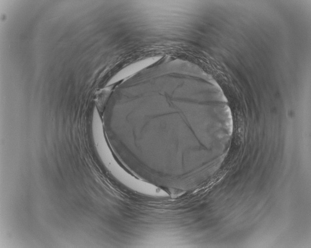 X0000061750758200512302237