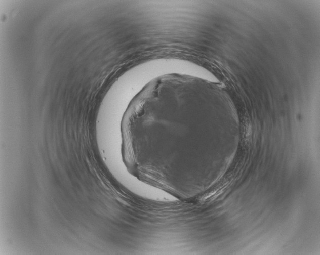 X0000061750759200512302237