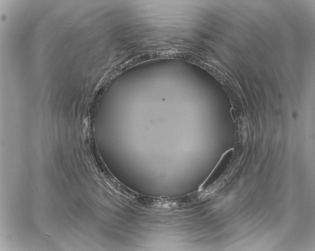 X0000061750760200512302237