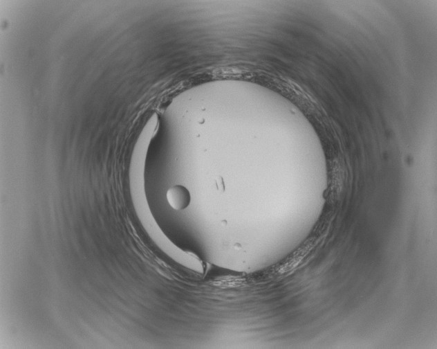 X0000061750761200512302237