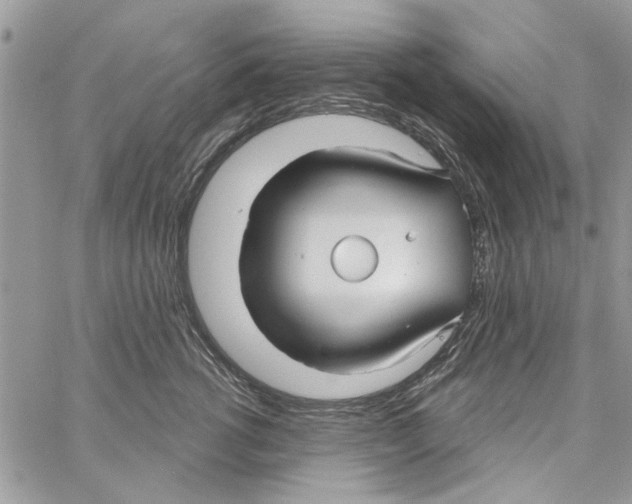 X0000061750762200512302237