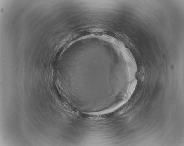 X0000061750763200512302237