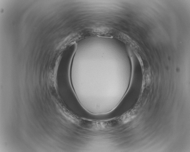 X0000061750764200512302237