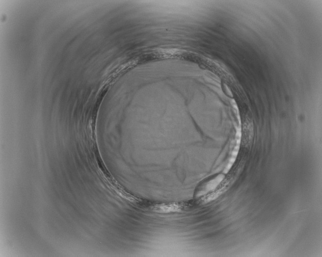 X0000061750765200512302237