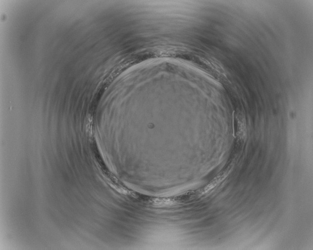 X0000061750766200512302237