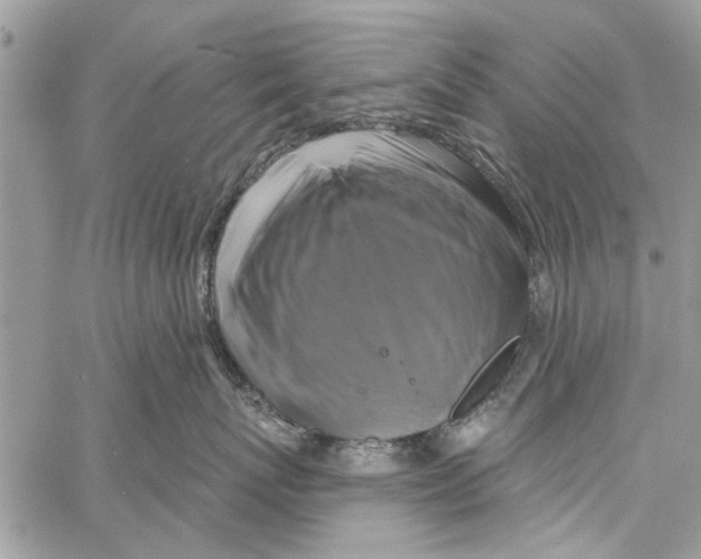 X0000061750767200512302237