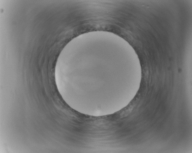 X0000061750769200512302237