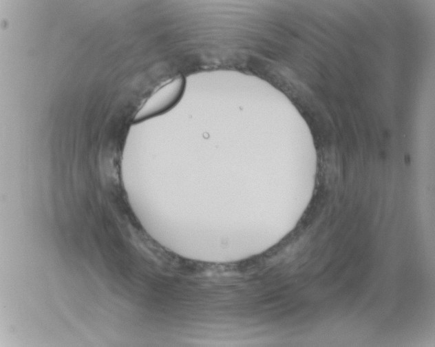 X0000061750770200512302237