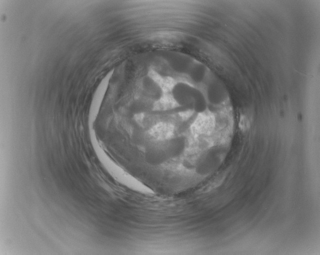 X0000061750771200512302237