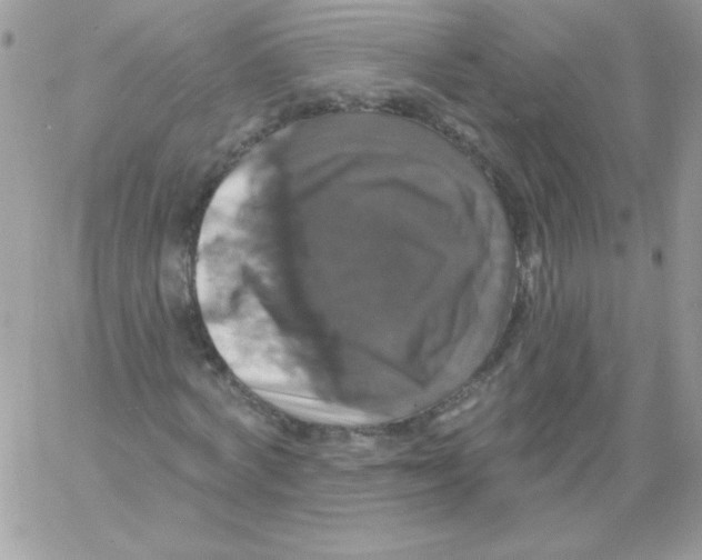 X0000061750772200512302237