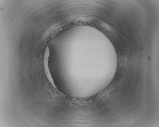 X0000061750774200512302236