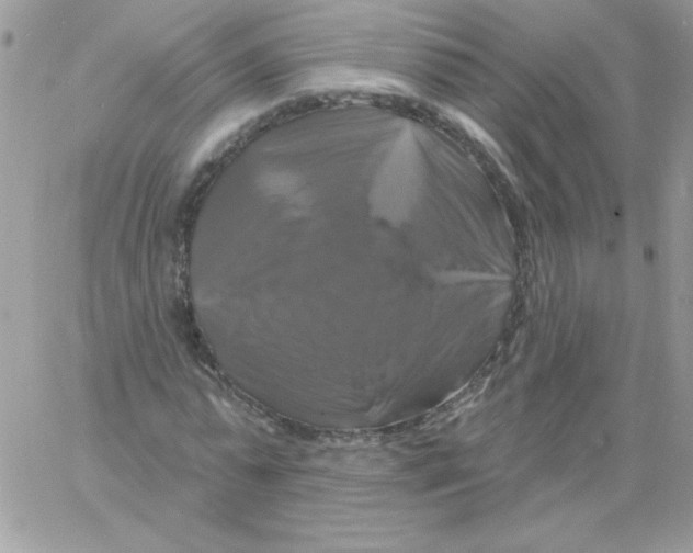 X0000061750775200512302236