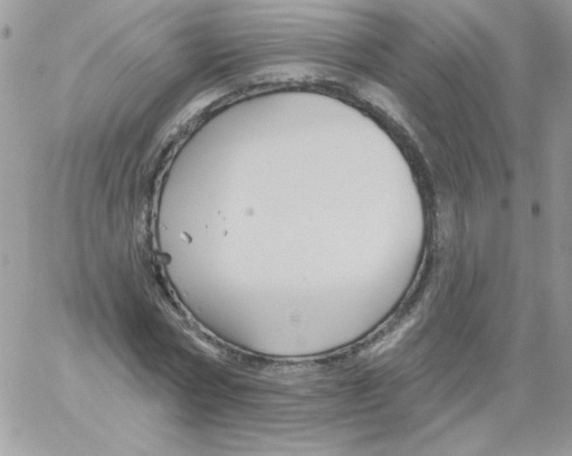 X0000061750778200512302236