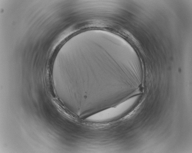 X0000061750779200512302236