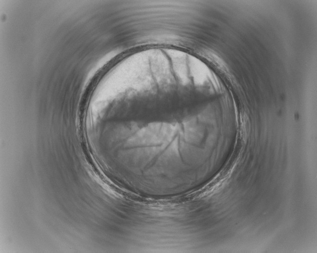 X0000061750780200512302236