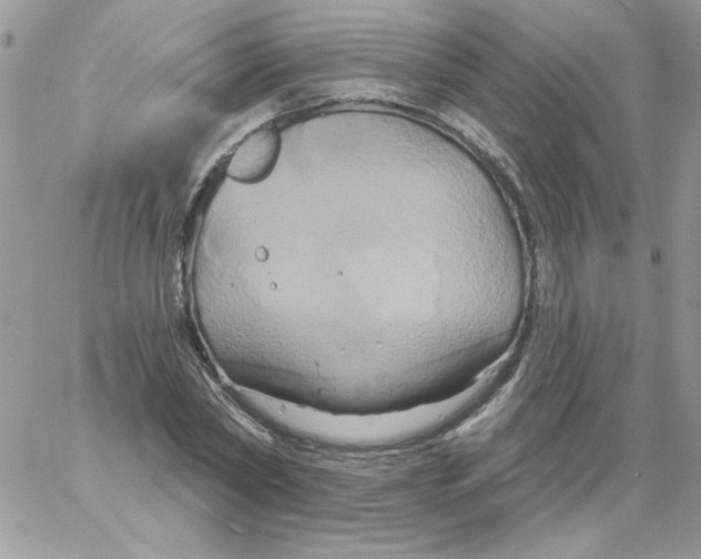 X0000061750782200512302236