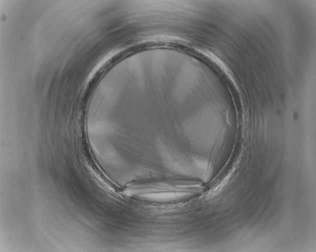 X0000061750783200512302236