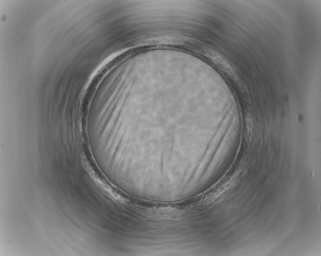 X0000061750784200512302236