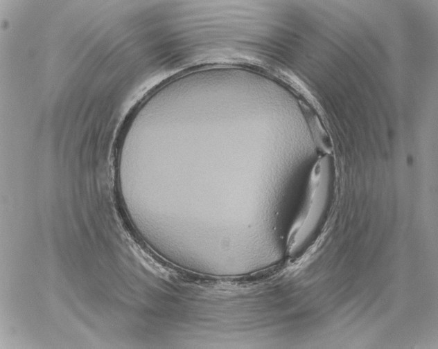 X0000061750787200512302236