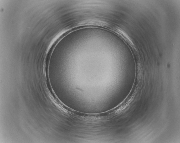 X0000061750788200512302236