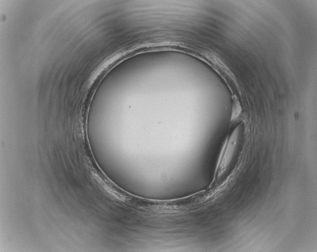 X0000061750789200512302236