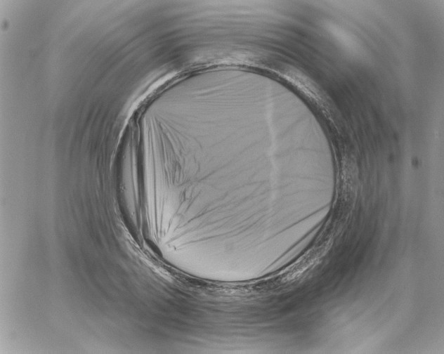 X0000061750790200512302236