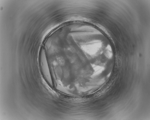 X0000061750791200512302236