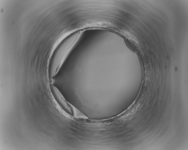 X0000061750792200512302236