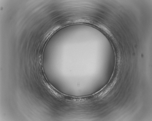 X0000061750793200512302236