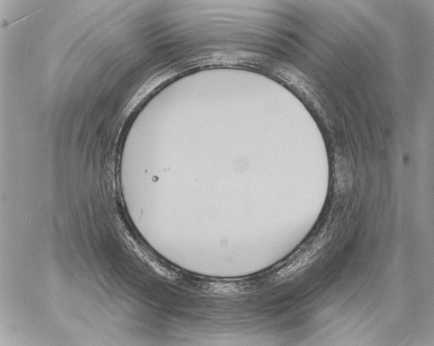 X0000061750794200512302236